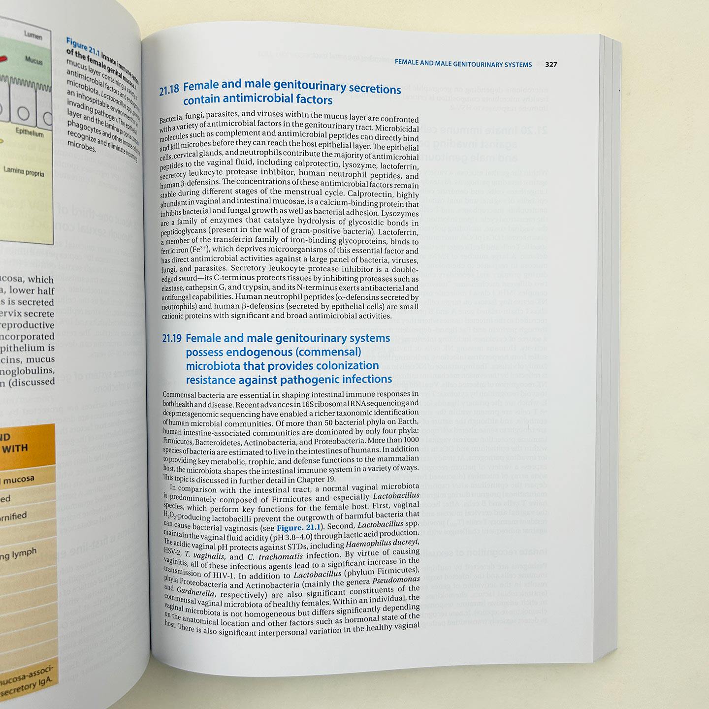 Principles of Mucosal Immunology 黏膜免疫学原理 第2版 - 图3