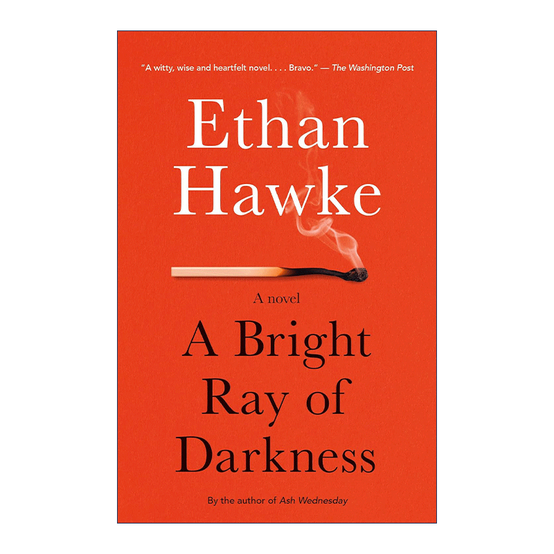 英文原版 A Bright Ray of Darkness Vintage Contemporaries 黑暗之光 爱在黎明破晓前主演Ethan Hawke伊桑·霍克 进口英语书籍 - 图0