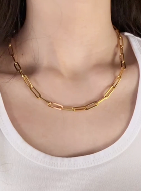 金属粗链条项链女轻奢金色毛衣链