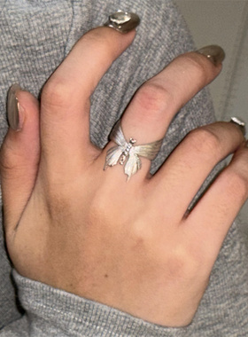 银色拉丝蝴蝶戒指独特小众设计