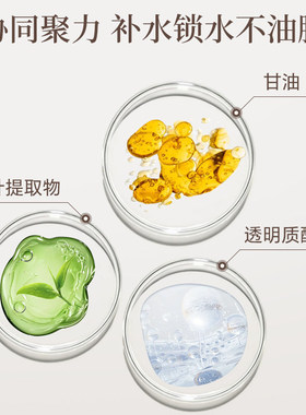 正品桑得男士润肤乳100ml补水滋润保湿控油锁水滋润保持水润清爽