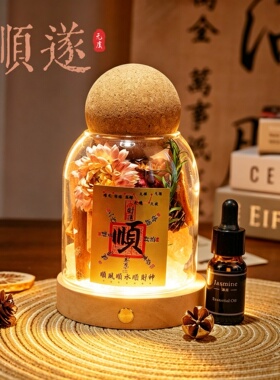 肉桂生财招财聚财能量瓶新家乔迁发光摆件玄关干花装饰家居香薰