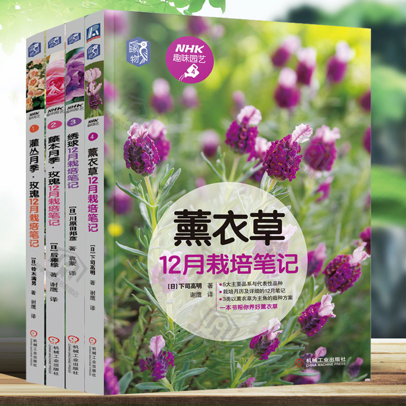 趣味球花 新人首单立减十元 21年9月 淘宝海外