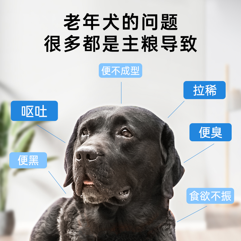 顽皮老年狗狗罐头主食罐大小型犬泰迪高龄犬专用拌饭湿粮零食狗粮 - 图0