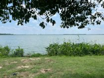 Greeting cards can be customized to the festival congratulations