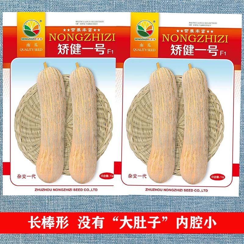 健美蜜本南瓜种子超甜粉面密本南瓜种子甜面南瓜种籽早熟高产蔬菜,淘宝优惠券,粉丝福利购,淘宝优惠卷