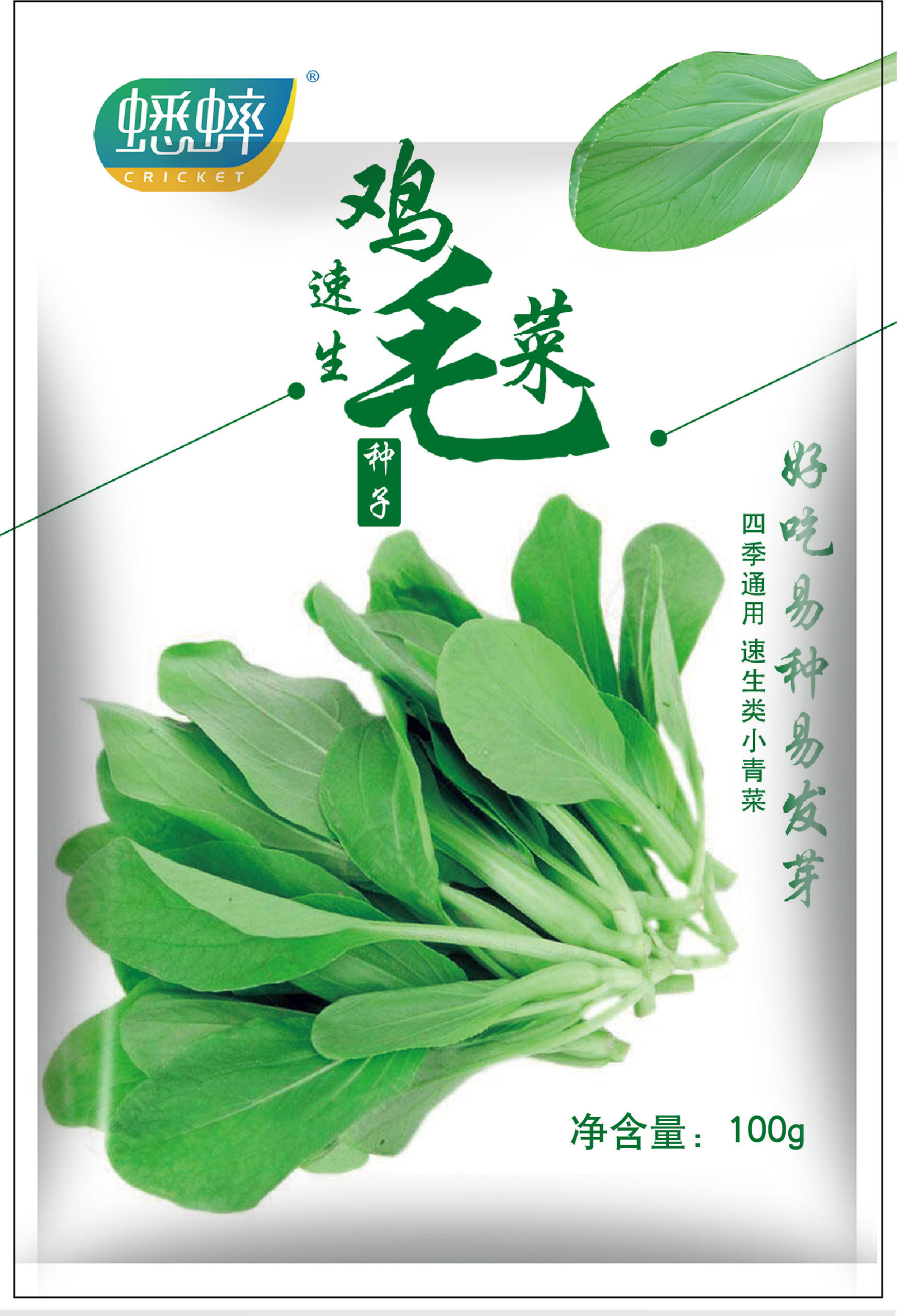 鸡毛菜菜籽种子上海青菜菜种籽大全蔬菜种孑阳台盆栽小白菜籽四季