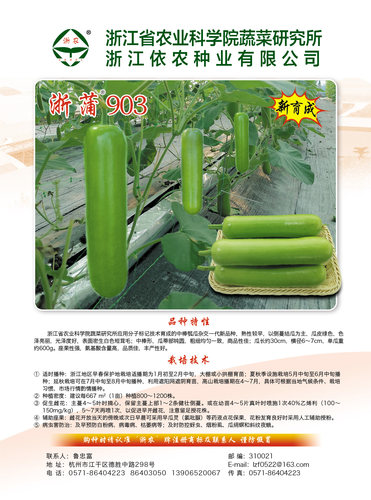 浙蒲6号瓠子瓜种子早生瓢子瓜籽四季长短蒲瓜春夏秋冬禾之元 - 图1