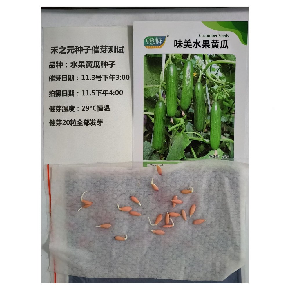 蔬菜种子水果黄瓜种籽大全四季苗秧盆栽黄瓜籽种旱水果黄瓜种孑,淘宝优惠券,粉丝福利购,淘宝优惠卷