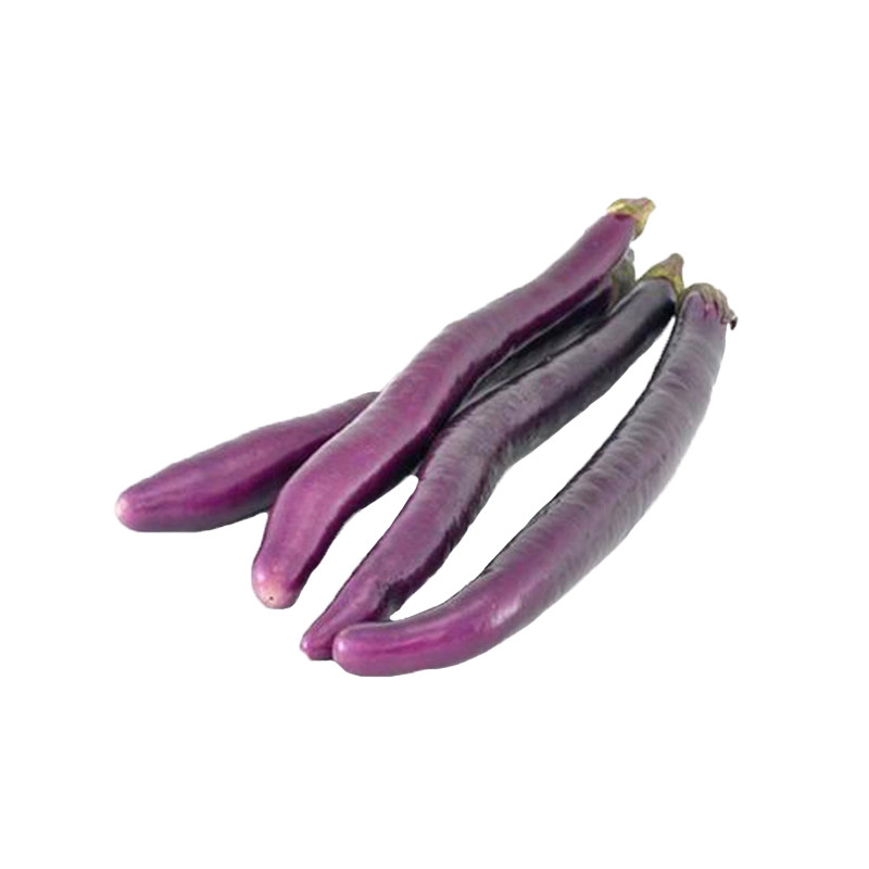 先峰线茄四季春夏长茄种子中早熟紫色面包型茄子蔬菜籽禾之元,淘宝优惠券,粉丝福利购,淘宝优惠卷