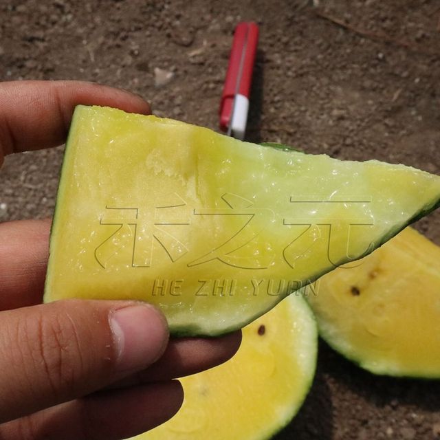 Spring sowing super sweet watermelon seeds yellow flesh seeds