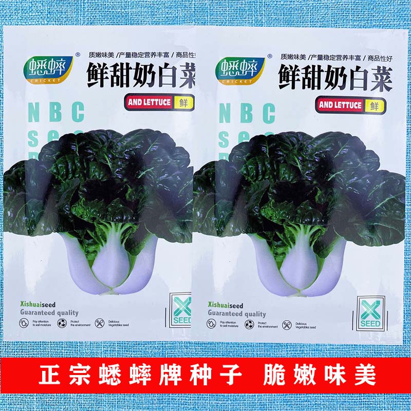 鲜甜奶白菜种子四季奶油小青菜阳台秋冬季盆栽籽种蔬菜农家蔬菜籽