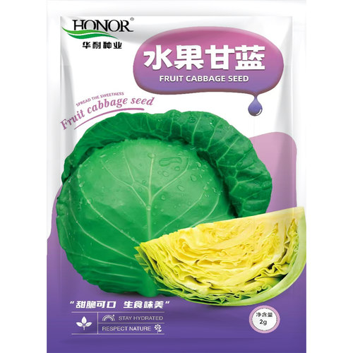 甘蓝种子高温包菜青菜籽高产早熟甘兰籽种籽秋冬季种春季蔬菜种子 - 图0