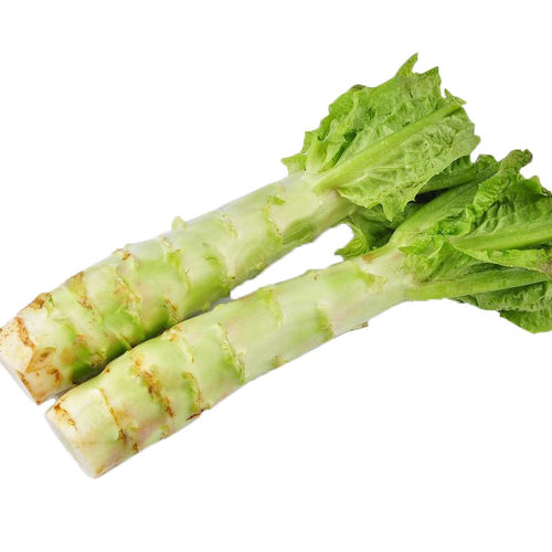 莴苣种籽香莴笋四季莴苣种子莴笋菜种籽种孑秋冬季菜苗大全农家蔬 - 图3