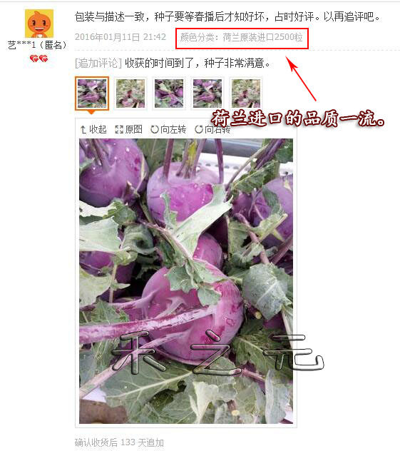 寿光蔬菜种子紫苤兰种籽 荷兰进口水果紫苤蓝种子四季春季秋冬栽,淘宝优惠券,粉丝福利购,淘宝优惠卷