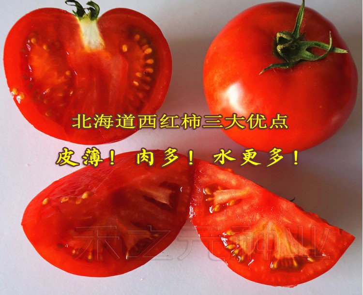 日本桃星西红柿种子番茄春季四季种籽农家盆栽毛粉洋蔬菜孑桃太郎,淘宝优惠券,粉丝福利购,淘宝优惠卷