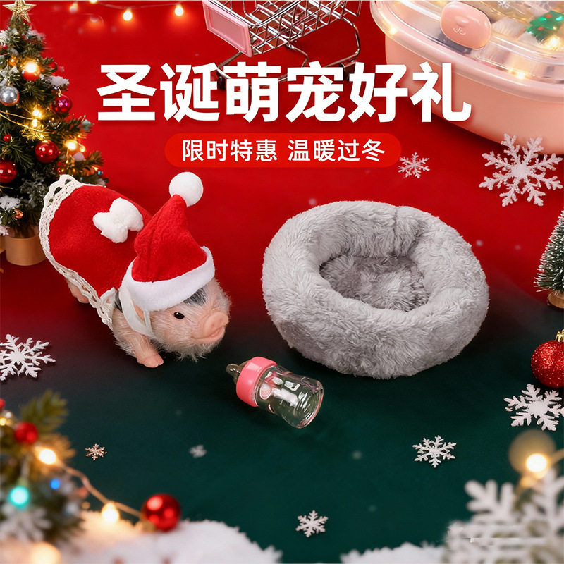 圣诞款戴帽子围裙硅胶卷尾巴猪解压儿童益智互动宠物玩具仿真动物,淘宝优惠券,粉丝福利购,淘宝优惠卷