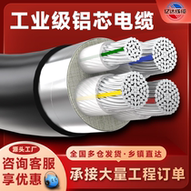 National Label Aluminium Core Cable 4 10 10 16 16 35 35 50 95150 95150 Buried Wire Aluminum Wire Three-phase Four