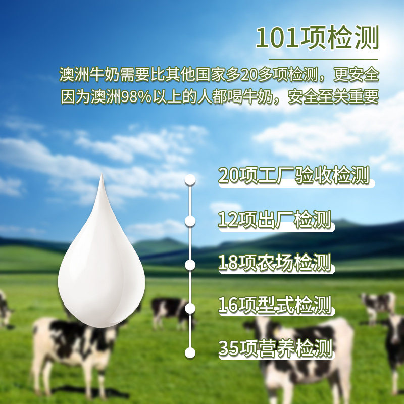 bindavalley澳洲进口整箱纯牛奶 三叶明诚食品纯牛奶