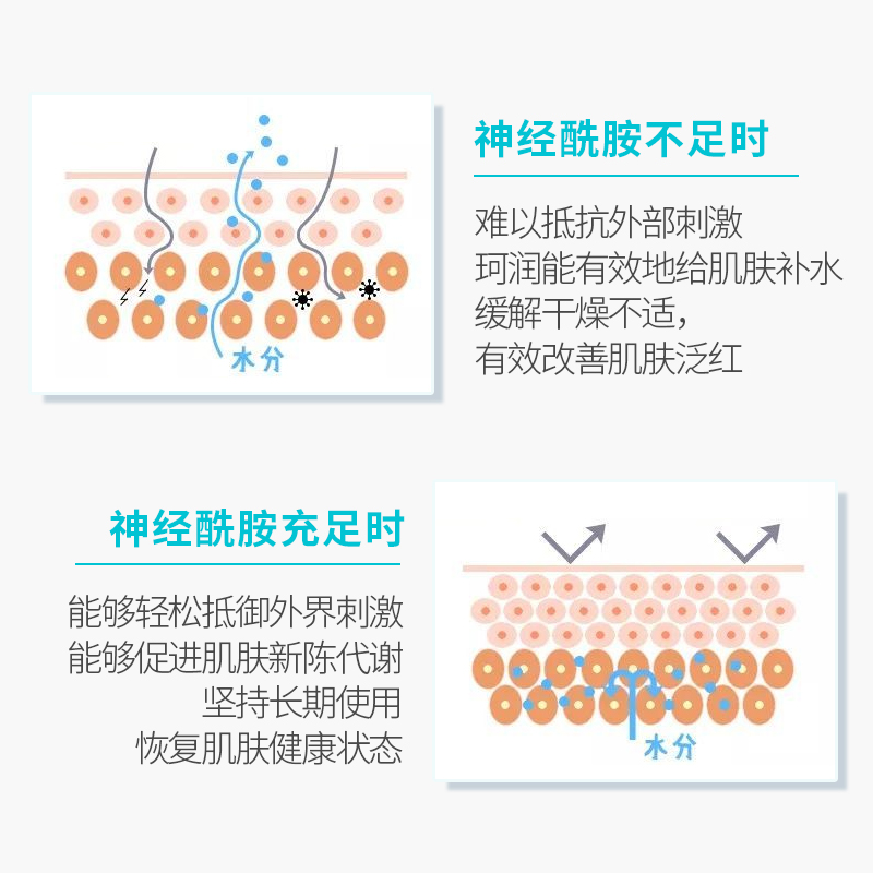 官方正品日本松本清珂润干燥肌II号水乳霜套装保湿补水神经酰胺-图2