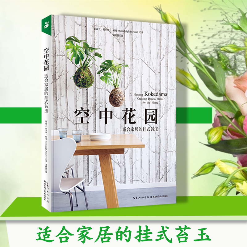 苔种植物 新人首单立减十元 21年8月 淘宝海外