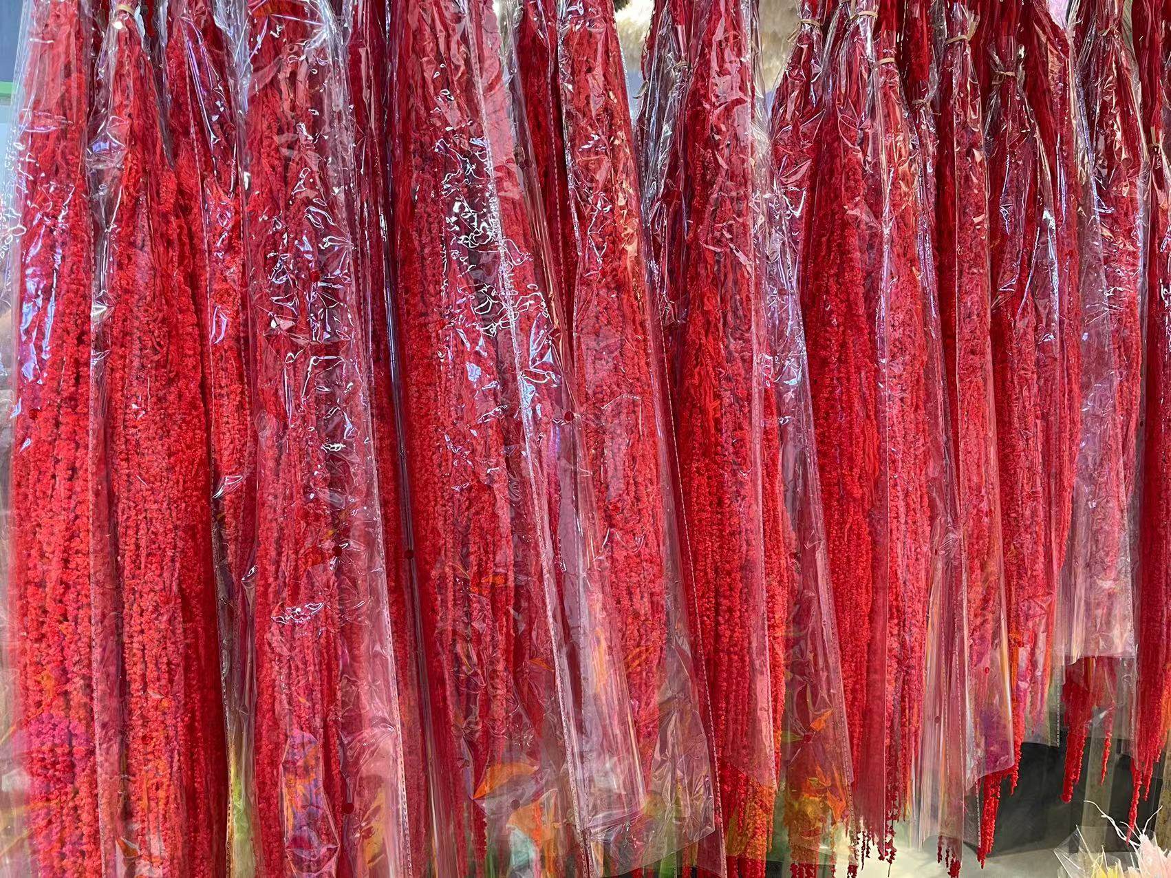 永生吊米柔丽丝保鲜花5支装长穗花艺墙面diy材料婚庆装饰吊米,淘宝优惠券,粉丝福利购,淘宝优惠卷