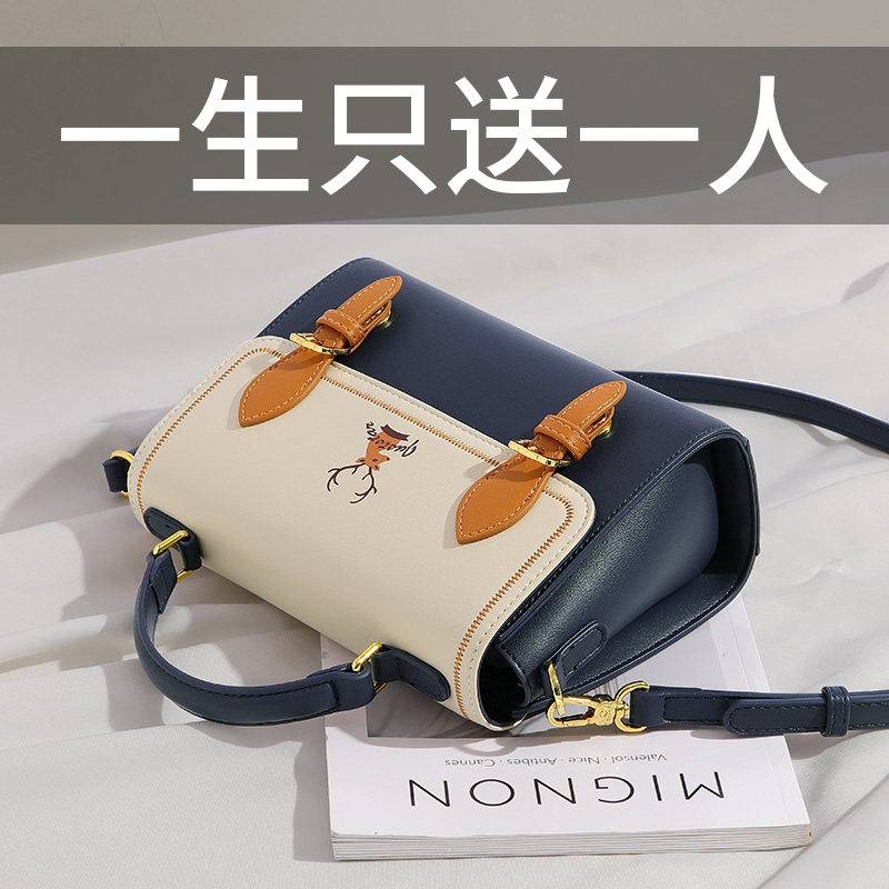 2022新款2021手提轻奢高级斜挎包 光彩年华女士包袋