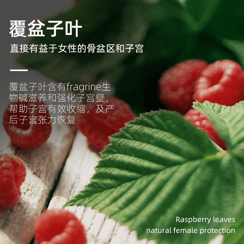 【1盒】redseal女性草本覆盆子叶茶 redseal海外代用/花草茶