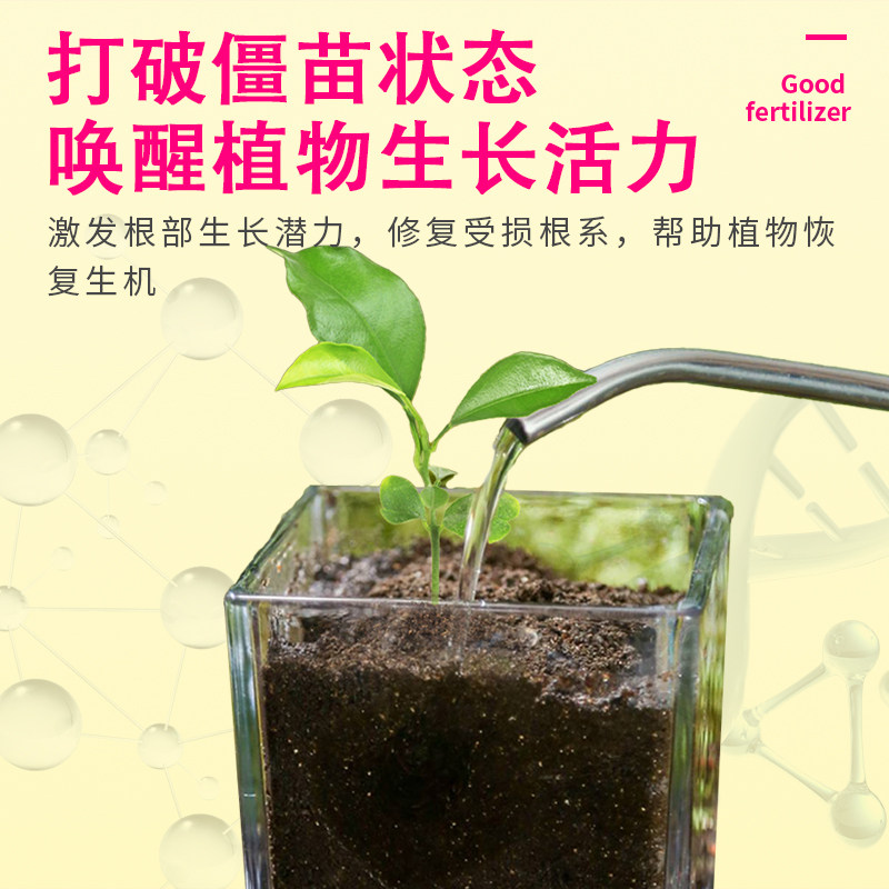 卡纳玛朵智补复壮素营养液花卉绿植多肉改善僵苗活力素园艺养花肥,淘宝优惠券,粉丝福利购,淘宝优惠卷