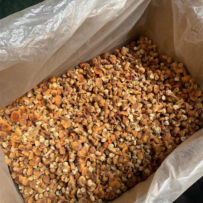 姬松茸干货精选云南新货无碎姬松茸巴西菇松茸菇250克500克包邮,淘宝优惠券,粉丝福利购,淘宝优惠卷