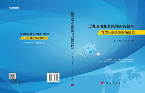 低渗透油藏非线性渗流机理与CO2微泡沫驱油研究/郭肖 - 图2