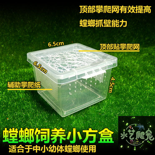 螳螂饲养盒箱网箱螳螂网箱昆虫饲养盒宠物盒螳螂活体饲养盒爬虫盒 - 图0