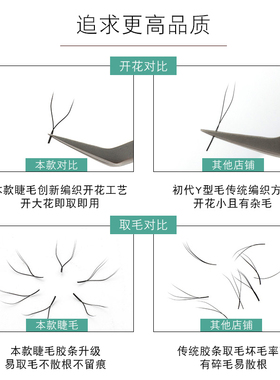 y型睫毛编织款网状山茶花种植