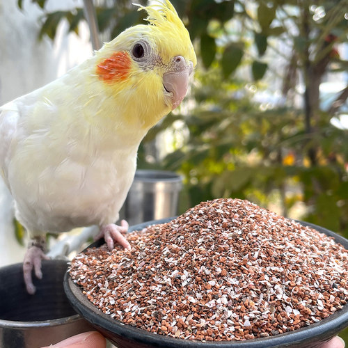 炫料保健砂鸟食鹦鹉粮红土贝壳粉饲料虎皮文鸟玉鸟金青一件250克 - 图0