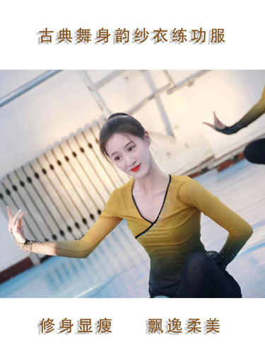古典舞服装舞蹈纱衣身韵练功服女飘逸上衣网纱仙气演出艺术艺考 - 图0