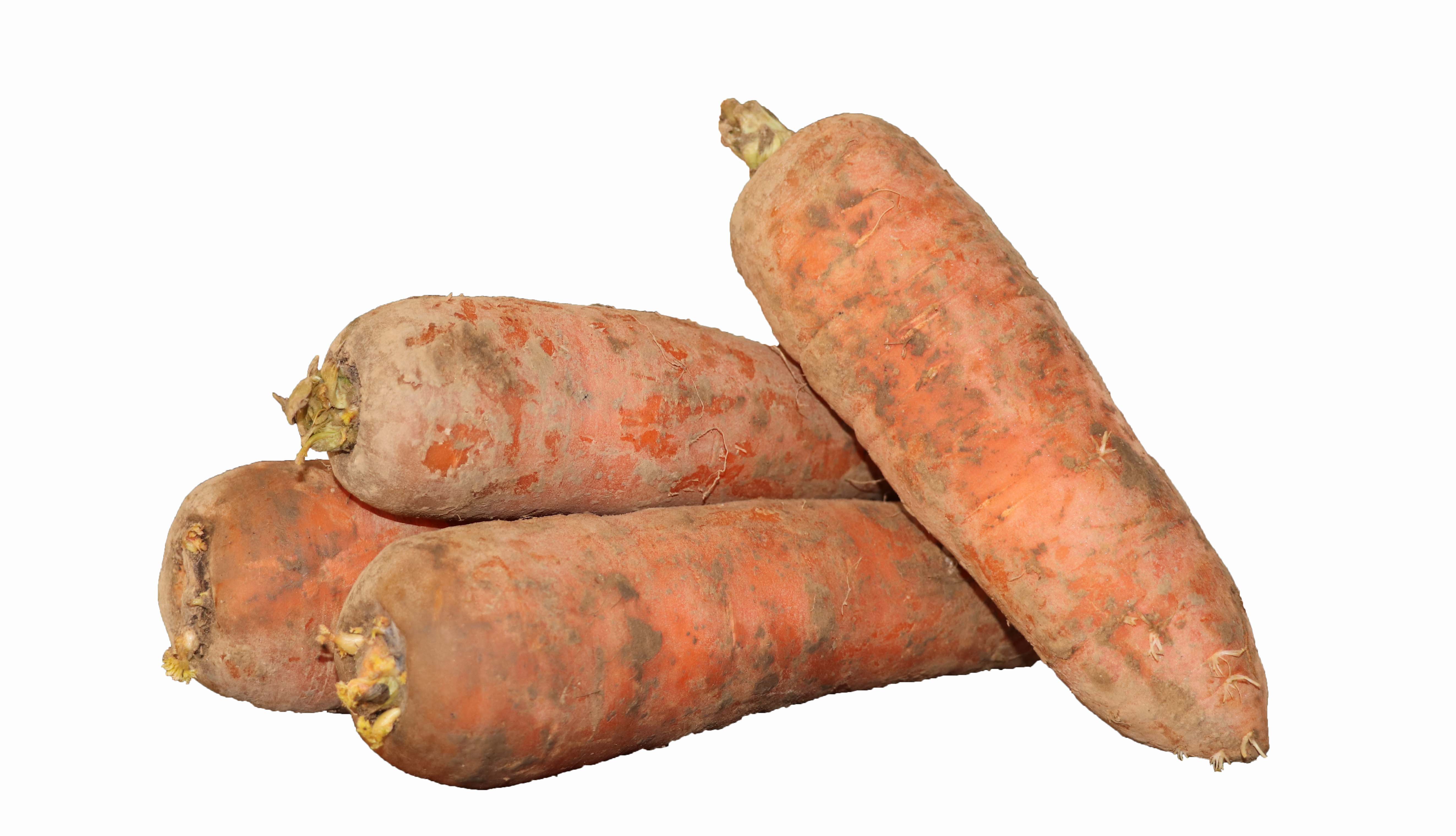农家自种新鲜蔬菜红胡萝卜宝宝小人参红萝卜5斤装包邮-图2