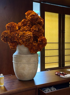 橘色安娜绣球干花花束客厅摆设花瓶插花天然风干真花高级感永生花