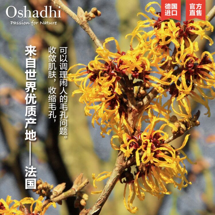 家金缕梅纯露花水紧致肌肤皱纹控油保湿爽肤水 O 德国 家金缕梅纯露花水紧致肌肤皱纹控油保湿爽肤水 O 德国