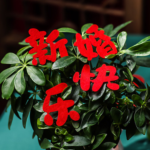 小喜字结婚专用婚礼婚房布置手抛喜字装饰婚庆囍字用品楼梯喜字贴 - 图3