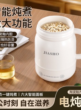 英国家用电炖杯煮饭煲汤小型电热杯电煮锅煮奶锅迷你多功能烧水杯