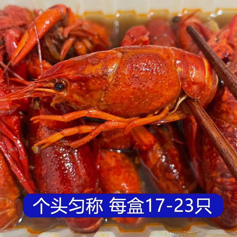 麻辣小龙虾整虾蒜蓉大虾4-6钱加热即食非龙虾尾熟食750g盒装零食