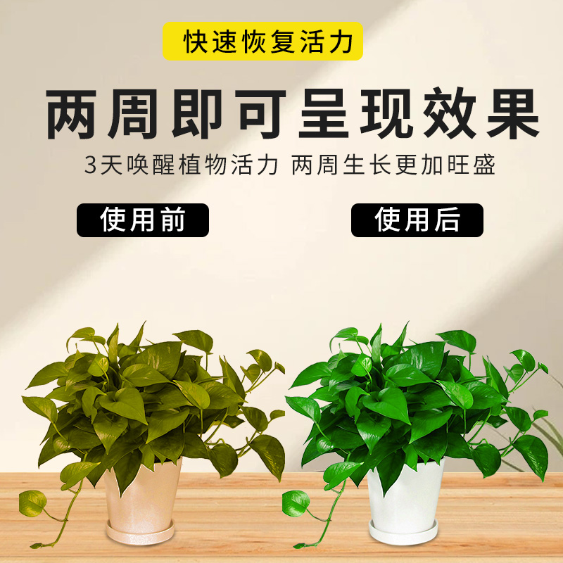 奥绿肥318s多肉植物专用肥缓释肥花肥料A2通用型多肉月季肥料兰花-图2