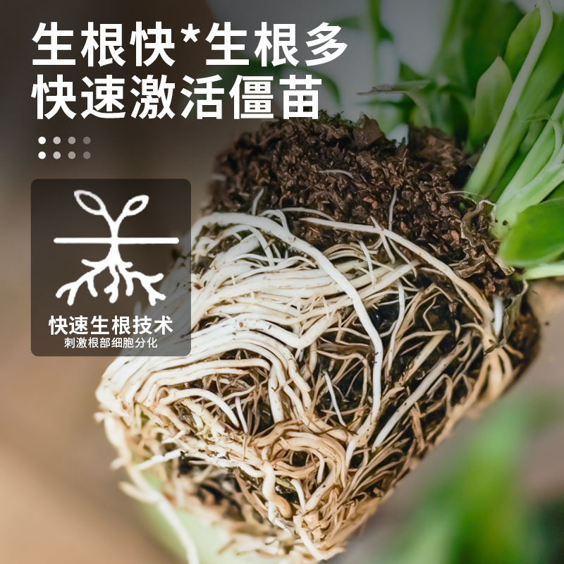 快速生根液植物通用粉剂扦插生根水强力营养液多肉生根剂土壤种植 - 图1