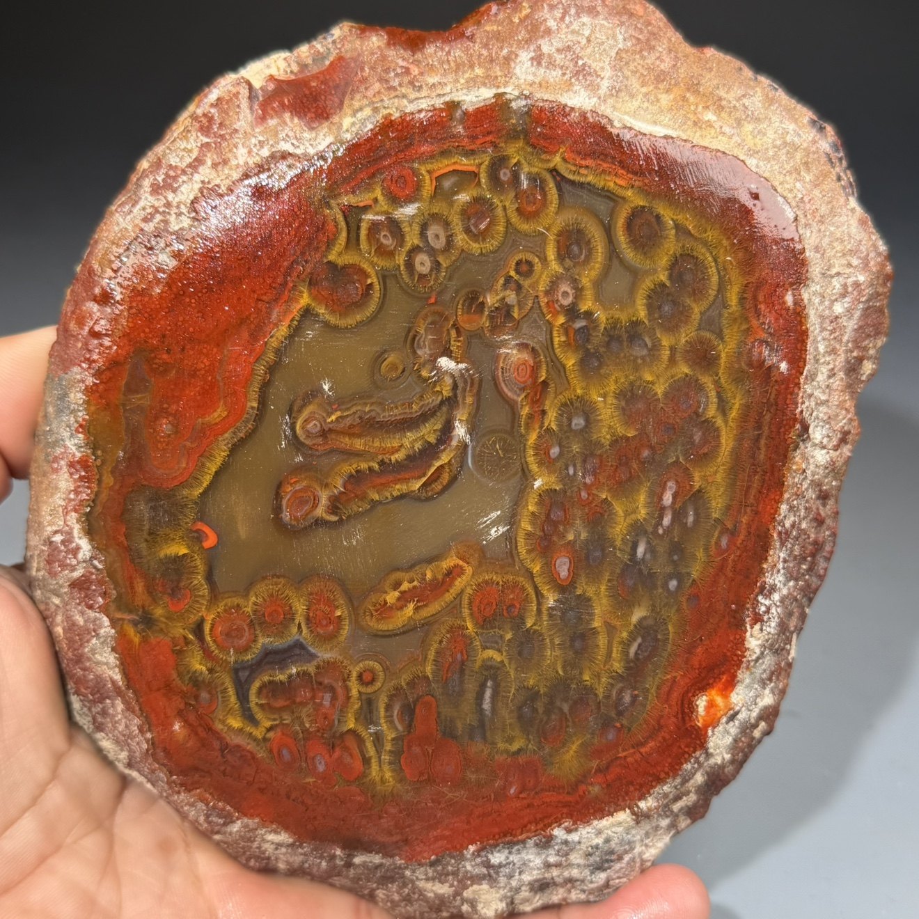 天然精品玛瑙原石原矿毛毛眼睛石好料天珠料红黄珠宝奇石,淘宝优惠券,粉丝福利购,淘宝优惠卷