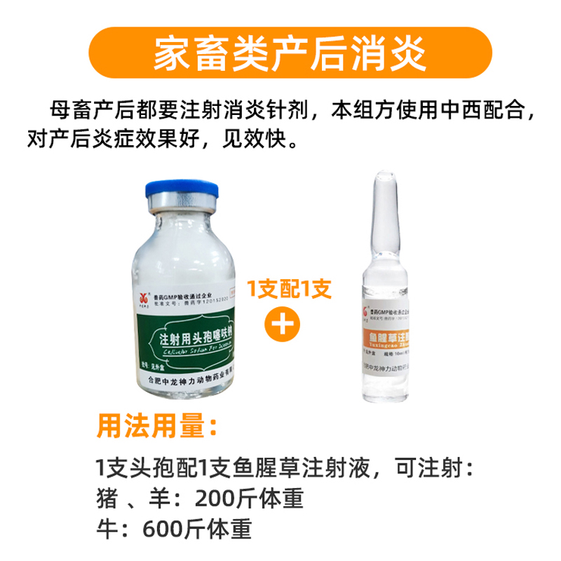 兽用注射用头孢噻呋钠鱼腥草注射液母猪产后消炎针剂牛羊感冒兽药 - 图1