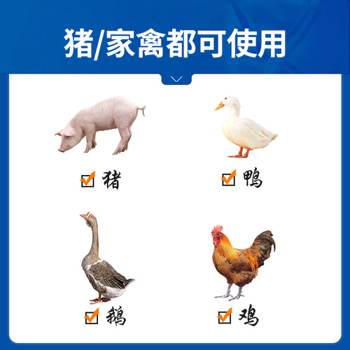 中龙神力兽药替米考星兽用预混剂猪用鸡感冒药呼吸道咳喘20%水溶 - 图1