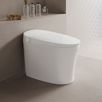 Rill smart toilet F1pro2899 waterless pressure limiting foam shield splash One with automatic toilet