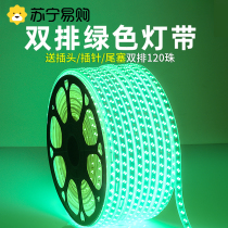 LED light with strip green 220V green light lamp with outdoor waterproof park Green planting brightening decorative line light strip 3005