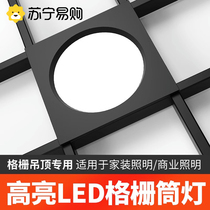 Led grid light 15x15 aluminium grid ceiling double head 10 * 20 black grape rack square cylinder light spotlight 3005