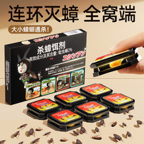 Kill cockroach Drug Home One pot full nest Non-toxic Bait Agent Small Black Box Except Little Strong God Instrumental End 1074